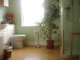 Bathroom/W.C.