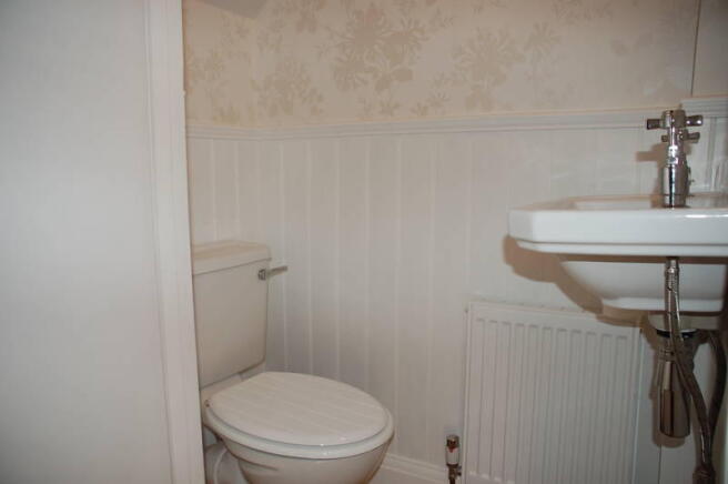 Picture 8