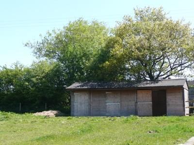 Stables