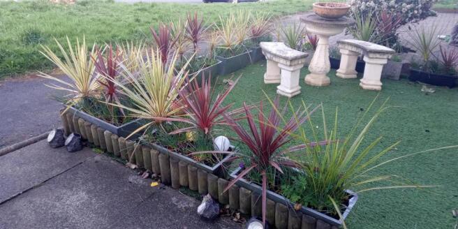 SPIKY GARDEN.jpg