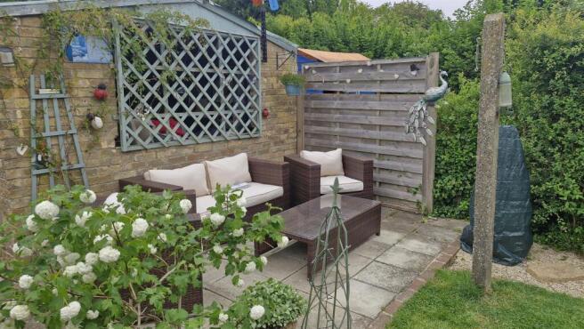 Back Patio.jpg