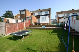 Back garden