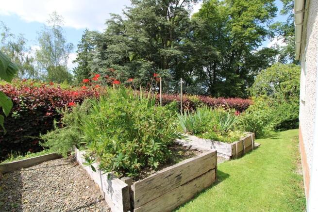 Raised Beds