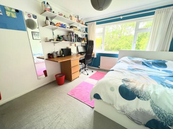 IMG_5032.JPG