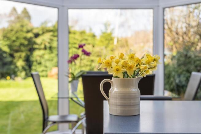 Views over garden