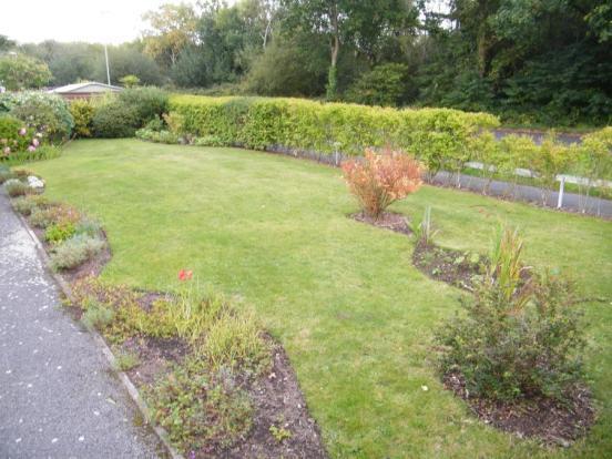 Side Garden