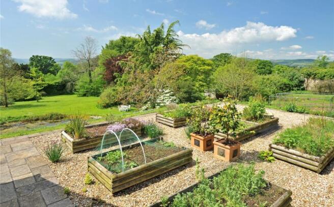 Vegetable Garden