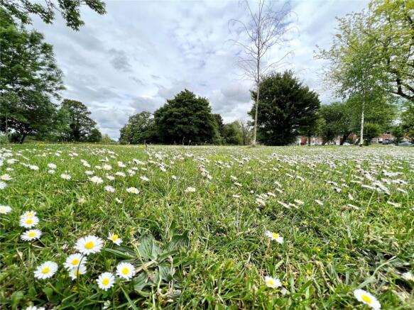 Grounds