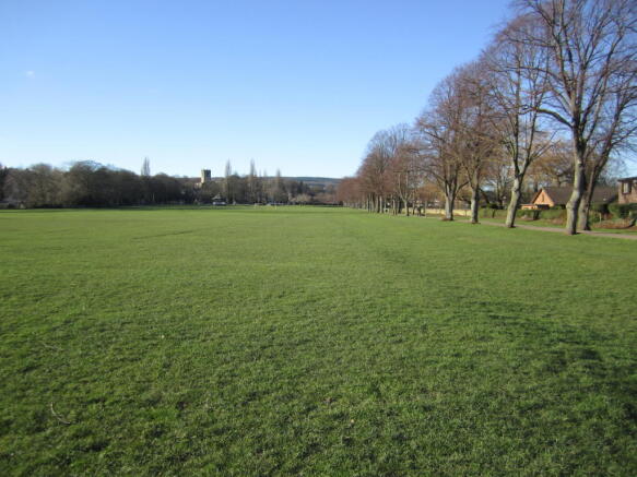 SCENIC REAR VIEW