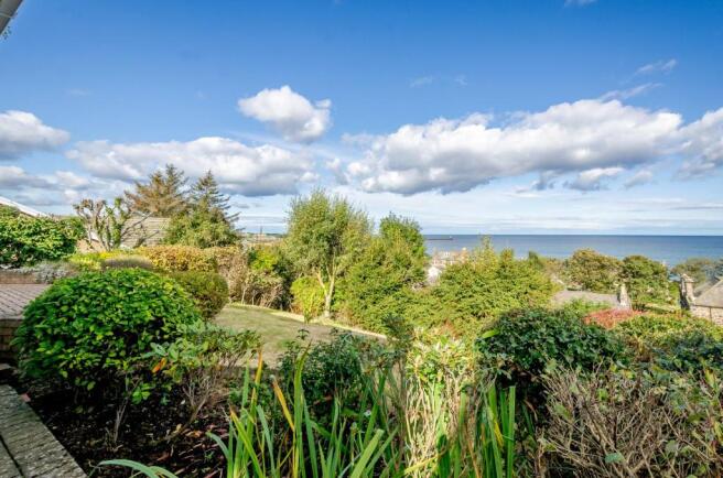 Garden/View