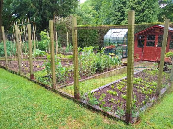 4LGHVegetableGarden.jpg