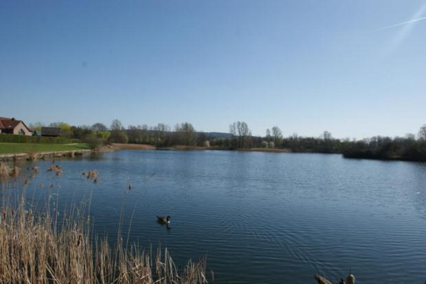 Lake View