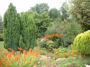 Rear garden. Photo 2