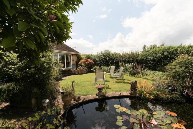 Garden at Back