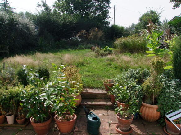 garden shot