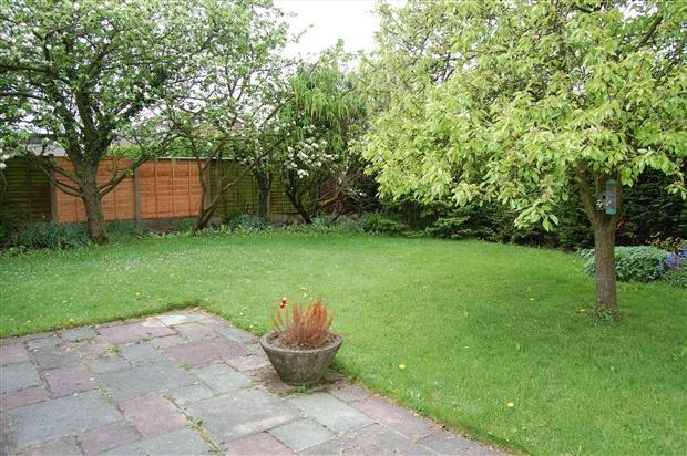 garden view 2