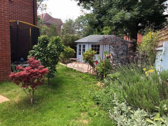 Garden in summer