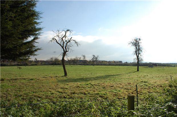View from garden