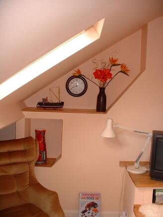 Photo 11