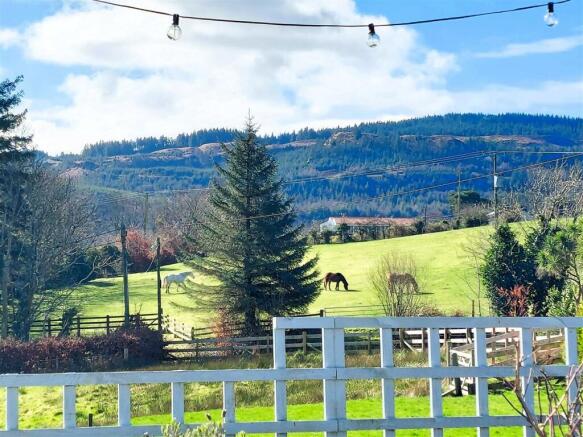 Horses in the adjacent fields