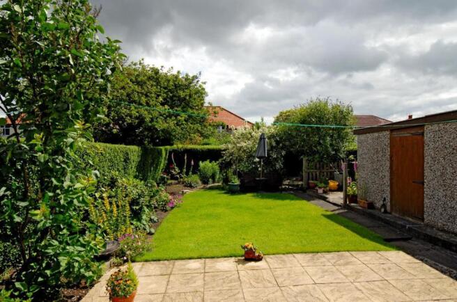 garden