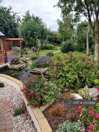 Patio/Pond