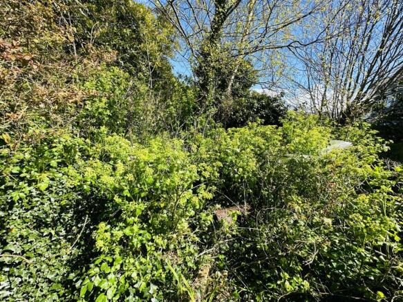 Rear Garden.JPG
