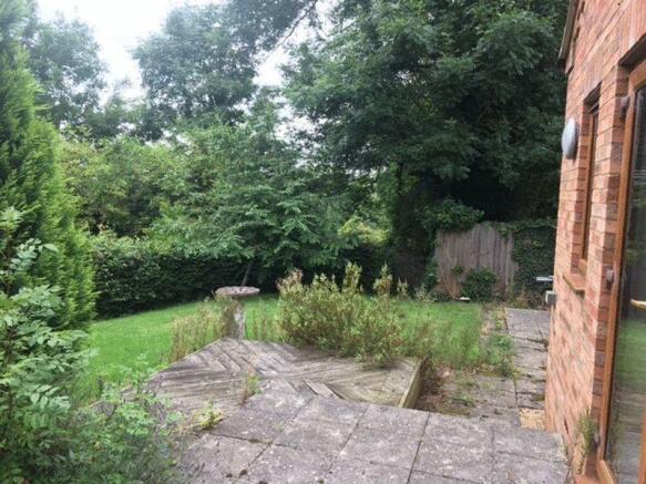 Photo 5