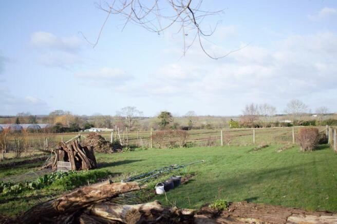 Rear garden wi...