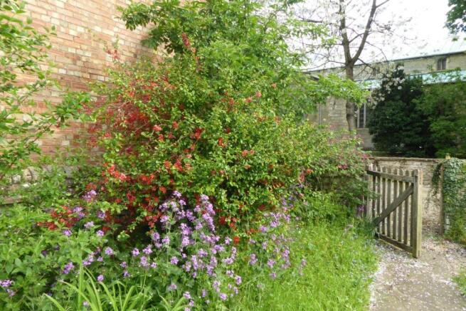 Garden.JPG