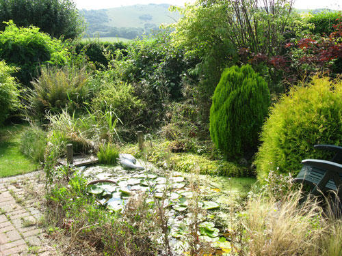 Photo 4