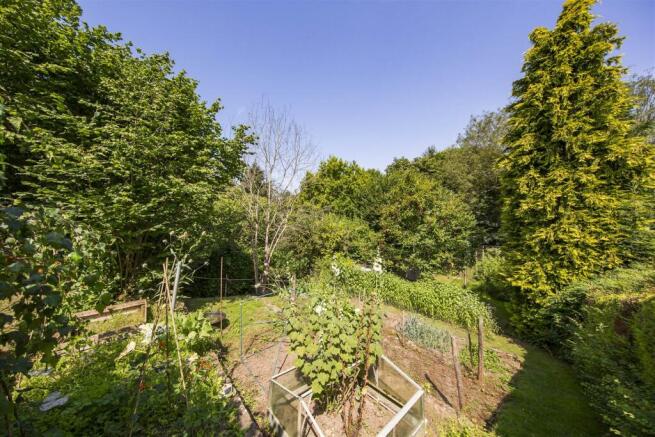 Veggie Patch