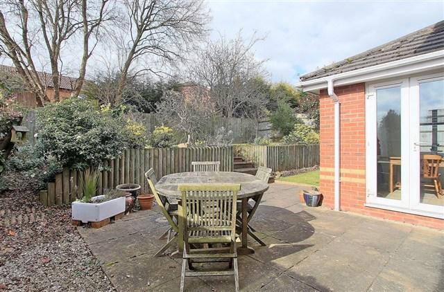 Patio Area