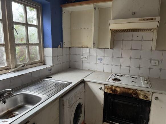 3 Medium T202601271644.jpg