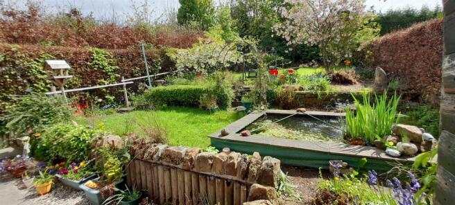 Garden 4.jpg