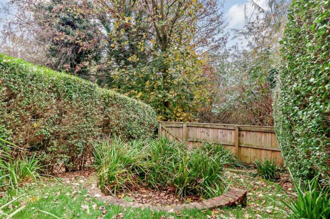 garden (2).jpg