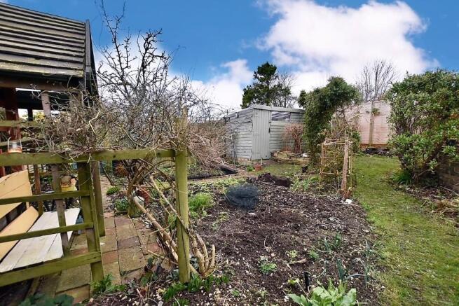 Vegetable patch