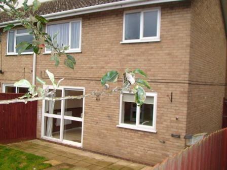 Back of House