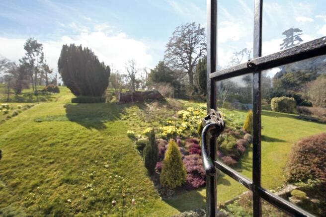 View Of Garden