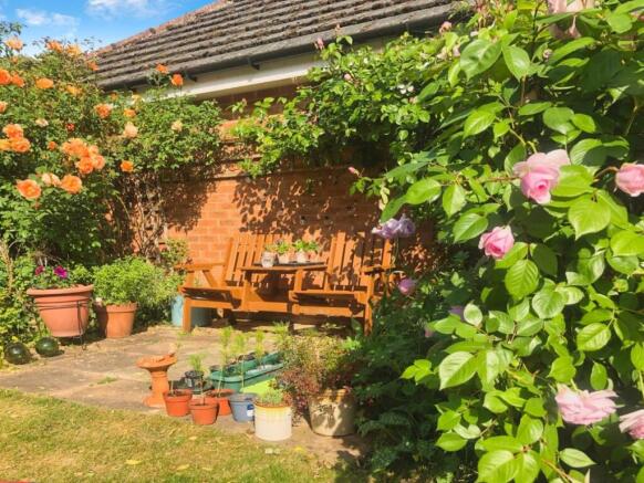 Garden with Roses.jpg