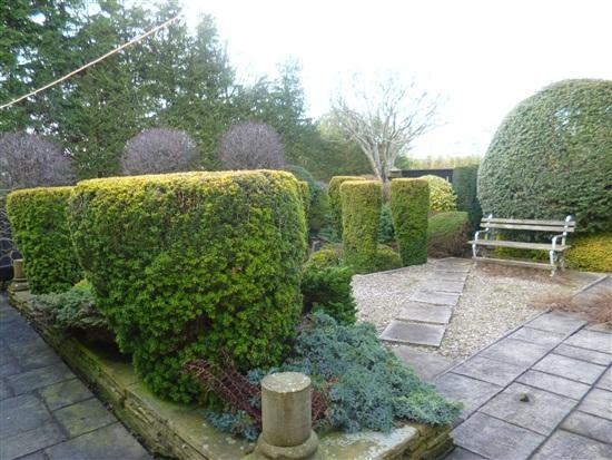 Rear garden 1