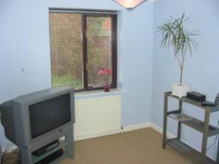 Study