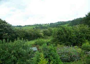 View from Principal Bedroom