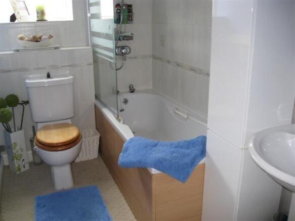 Picture 8