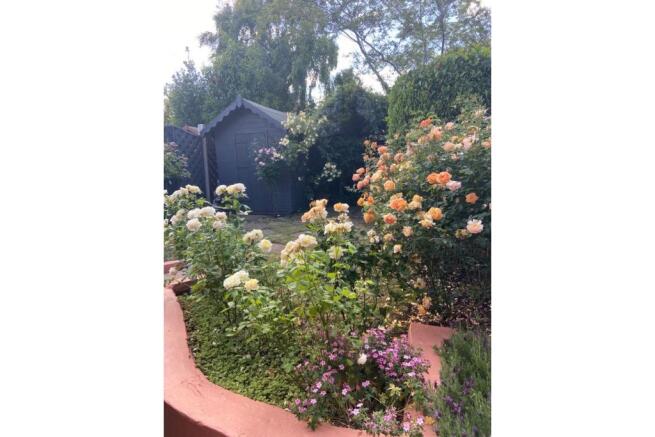 Photo 14