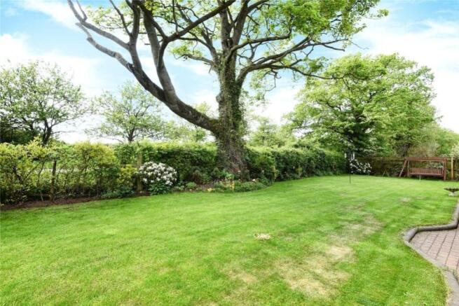beeches garden