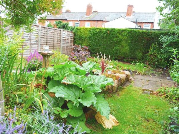 Garden 2