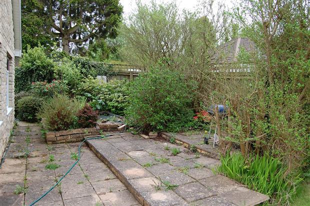 Patio Area with Pond