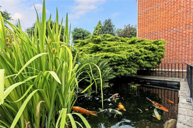 Pond
