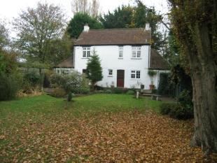Rear Elevation